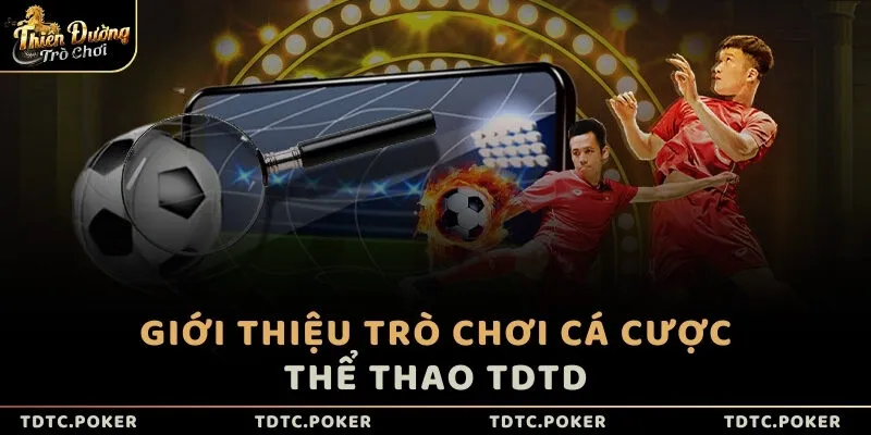 Giới thiệu trò chơi cá cược thể thao TDTD