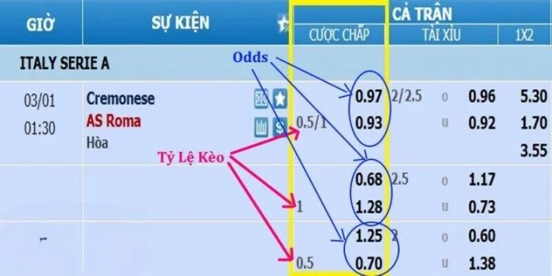 Các kèo châu á thường sẽ hiển thị trong cột cược chấp với nhiều tỷ lệ
