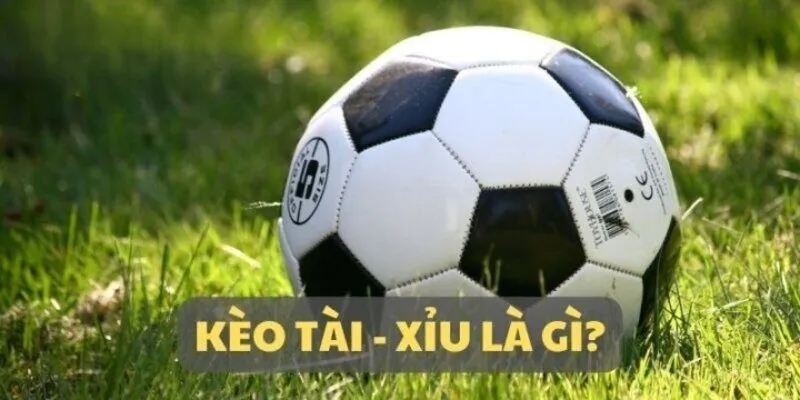 Kèo Tài Xỉu Là Gì - Bùng Nổ Từ Các Bàn Thắng Được Ghi