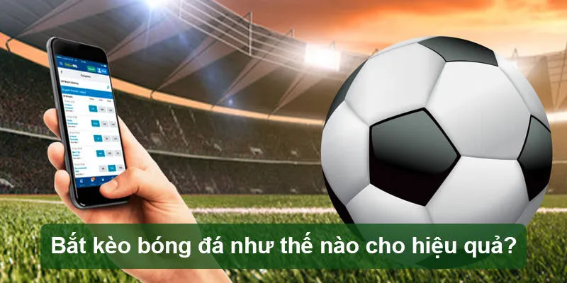 Mẹo bắt kèo 0.5/1 cực kỳ dễ dàng cho anh em mới