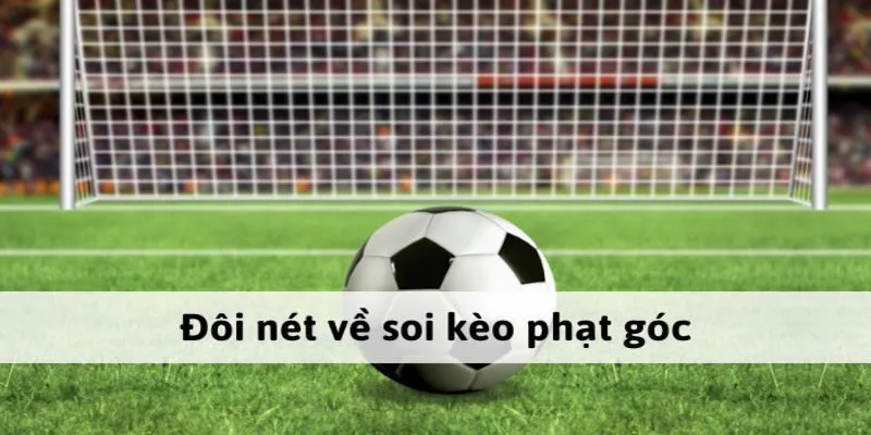 Một vài kinh nghiệm trên là quá nhiều cho anh em lượm tiền